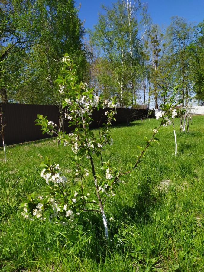 Лукі Villa Svitiaz Eksteriør billede